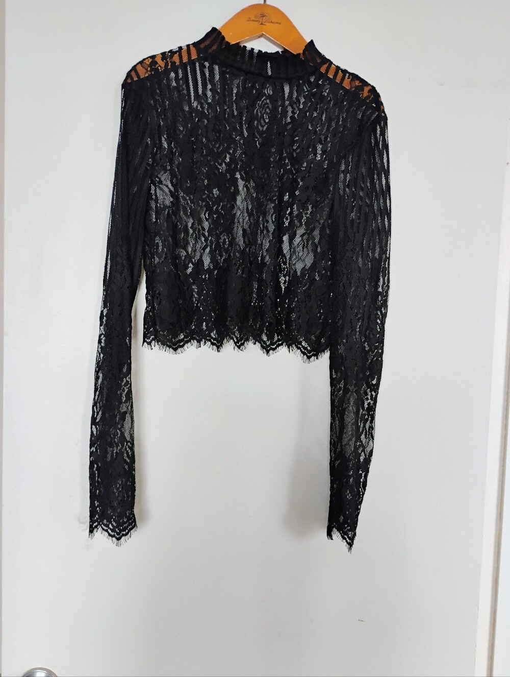 Forever 21 Crop Black Lace Long Sleeve Top with Sheer Details. Worn Once.